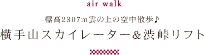 横手山スカイレーター&渋峠リフト