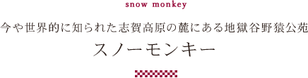 スノーモンキー